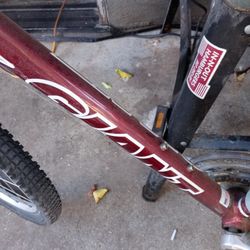 21" Mens GIANT BRAND MT. BIKE. 26" WHEELS. 
