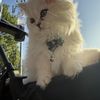 kev