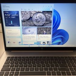 HP 17”3 Business Laptop