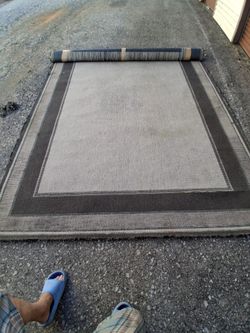 Large Area Rug Gray with Dark Border