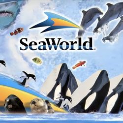 Seaworld 🎟️’s $25
