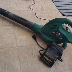 Cordless Leaf Blower W/ Charger