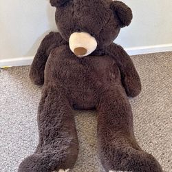Big Teddy Bear 