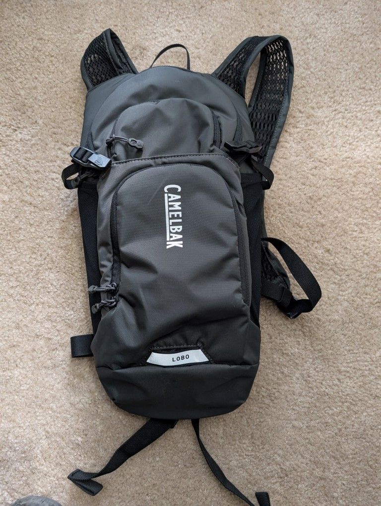 Camelbak Hydration Bag.
