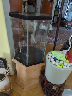Hexagon Glass Aquarium – Approx. 20 Gallon