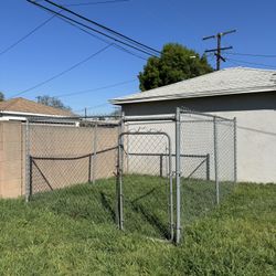 Kennel 