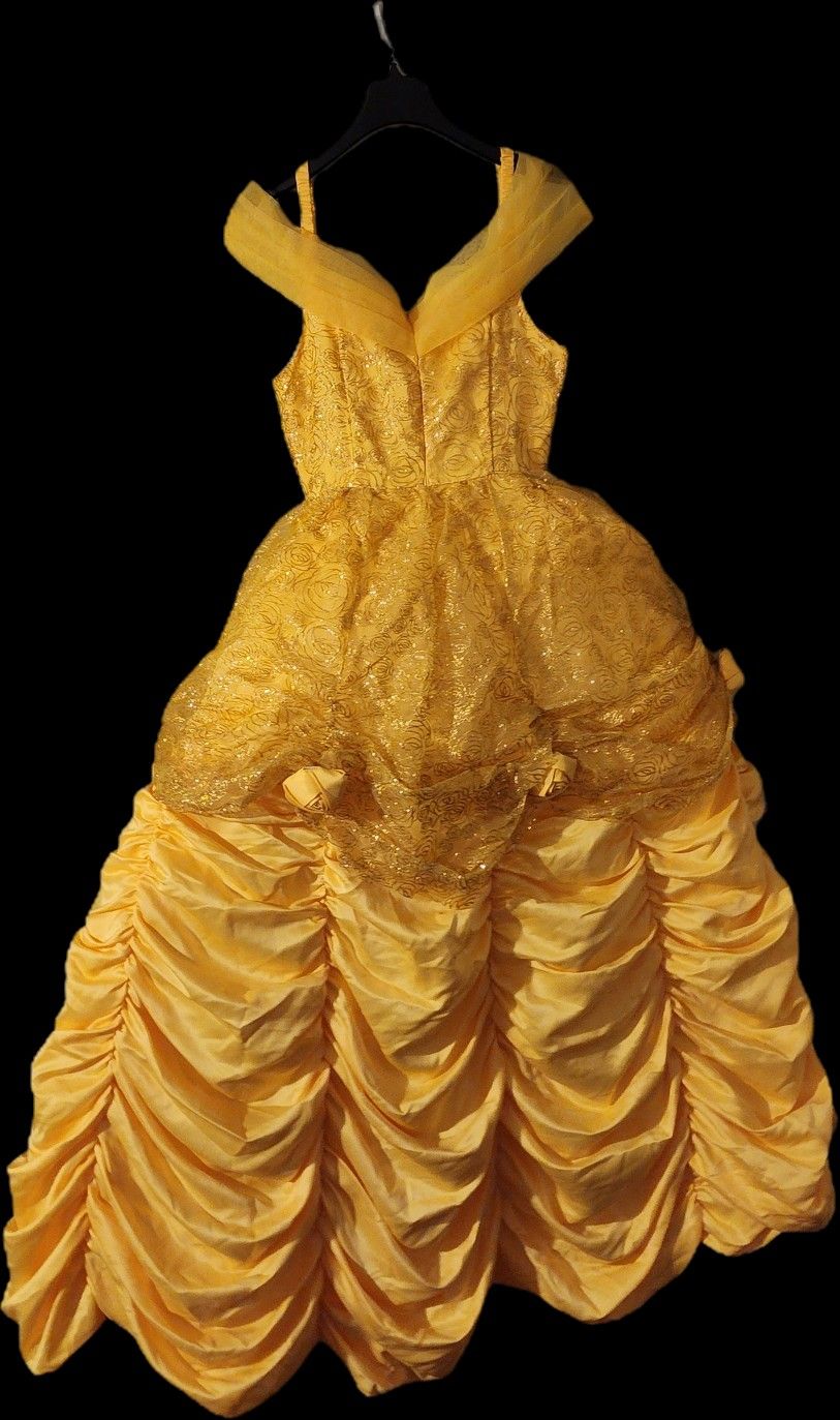 Womens Premium Disney Belle Costume