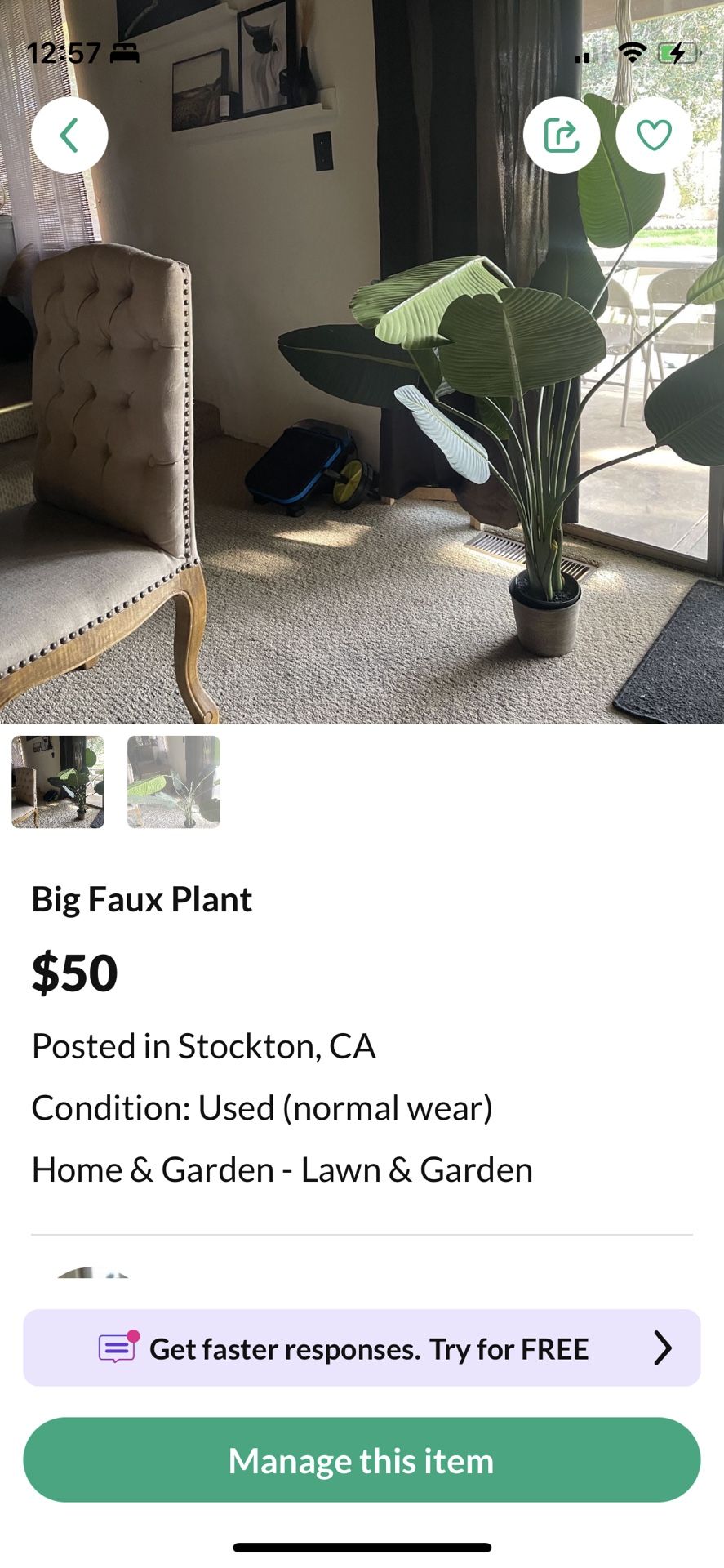 Big Faux Banana Plant