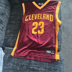 LeBron Cavs Jersey (best Offer)