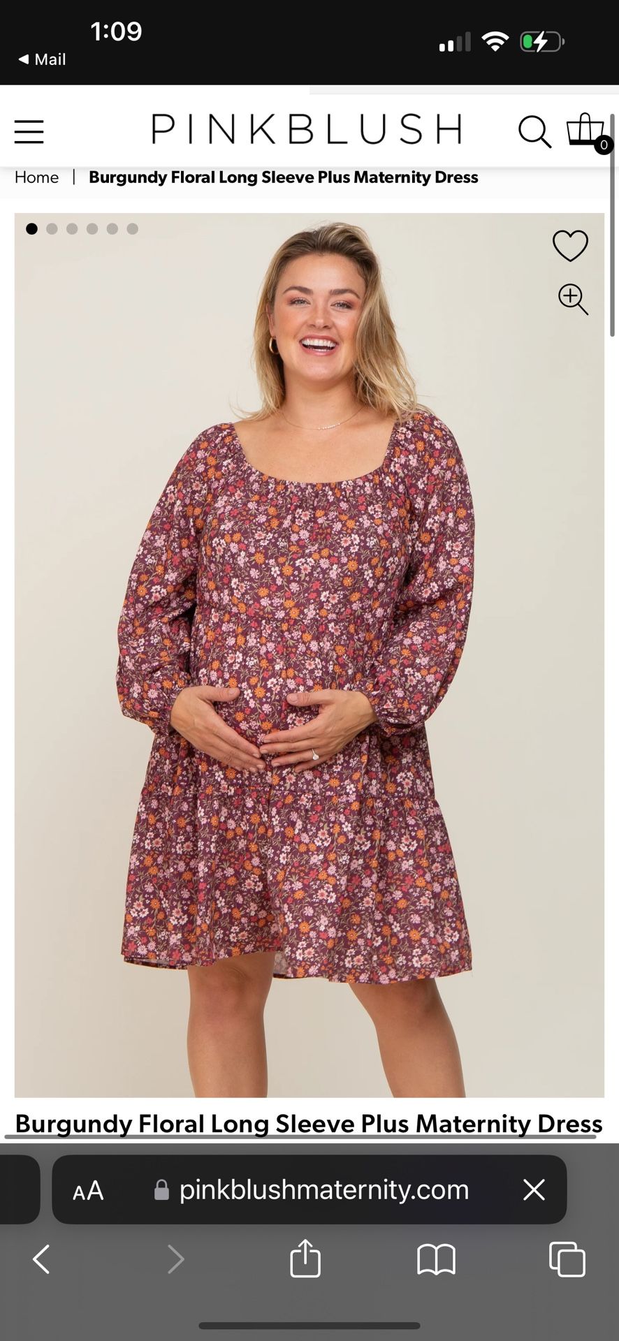 Plus Size Dress