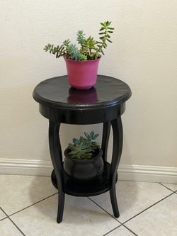 Tabletop plant stand with succulents