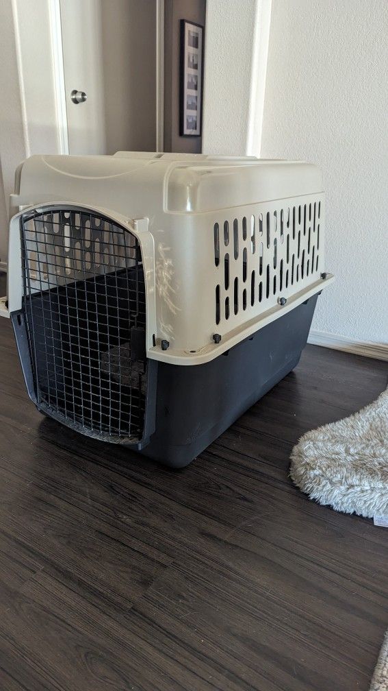Large Dog Kennel