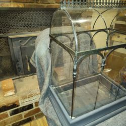 Harry Potter Wardian Glass Terranium