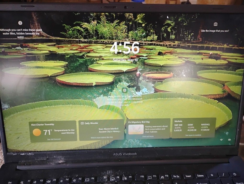 Asus Vivobook Go 15.6