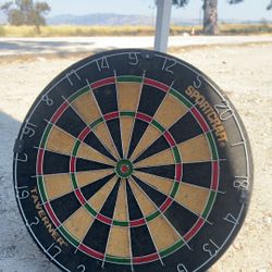 Dart Game Board