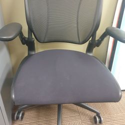 Humanscale Different World Chair