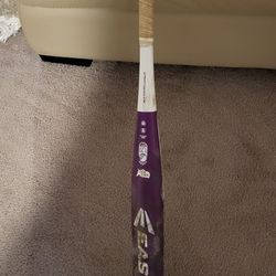 Easton Softball Bat
