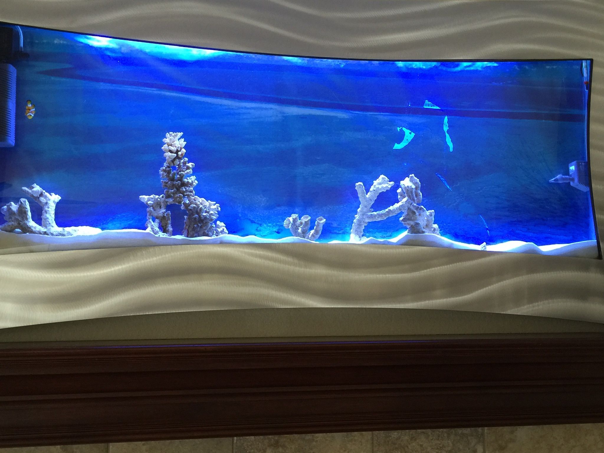 20 GALLON WALL MOUNTED FISH TANK
