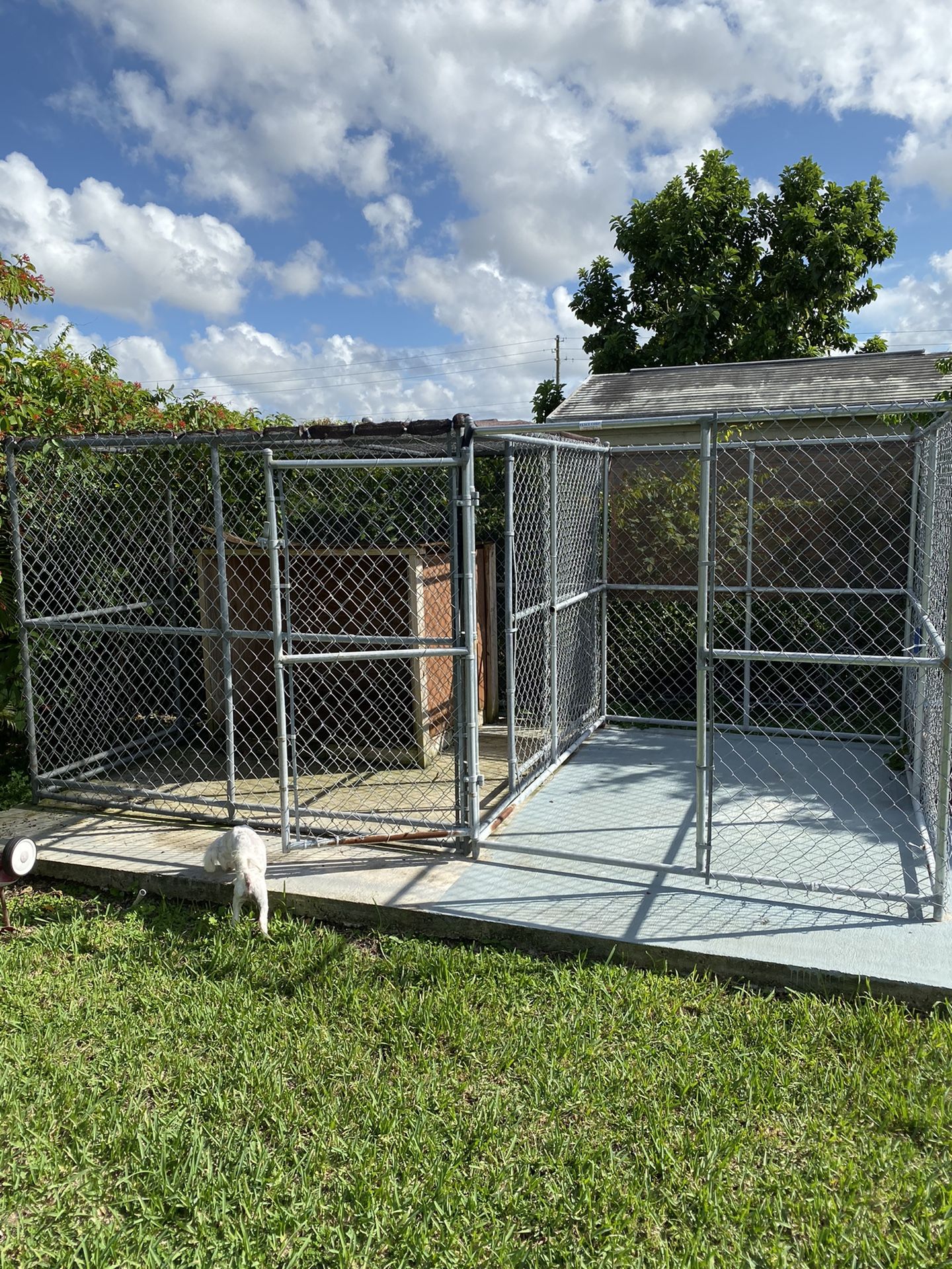 Dog Kennel