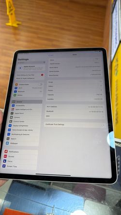 iPad Pro 12.9 256GB WiFi + Cellular 5th gen