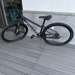 Specialized Rockhopper 29” Mountain Bike – Great Condition