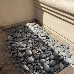 FREE Mexican Beach Pebble Available