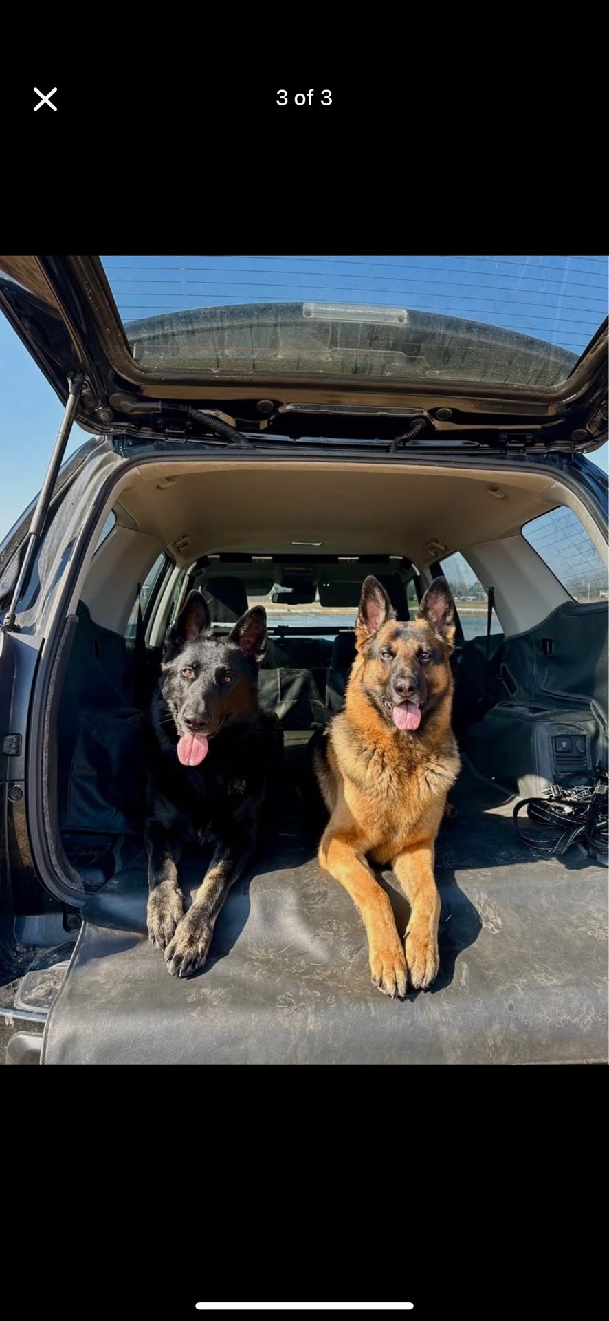 Cargo Liner (2023 Toyota 4Runner Off Road Premium)