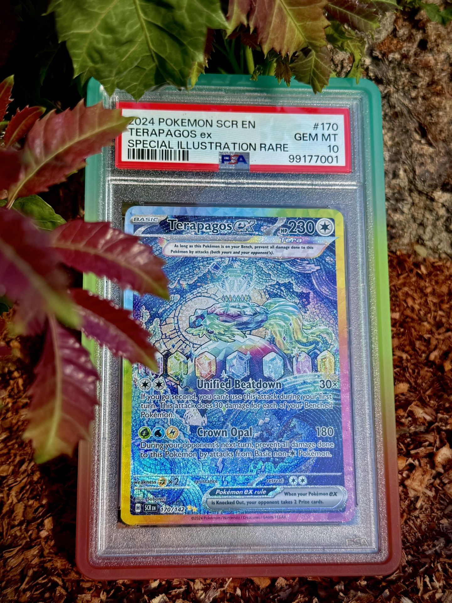 Terapagos ex 