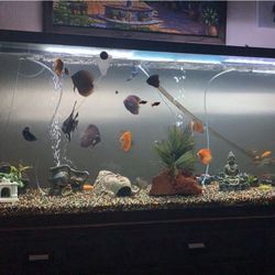 Reptile/ Aquarium Tank
