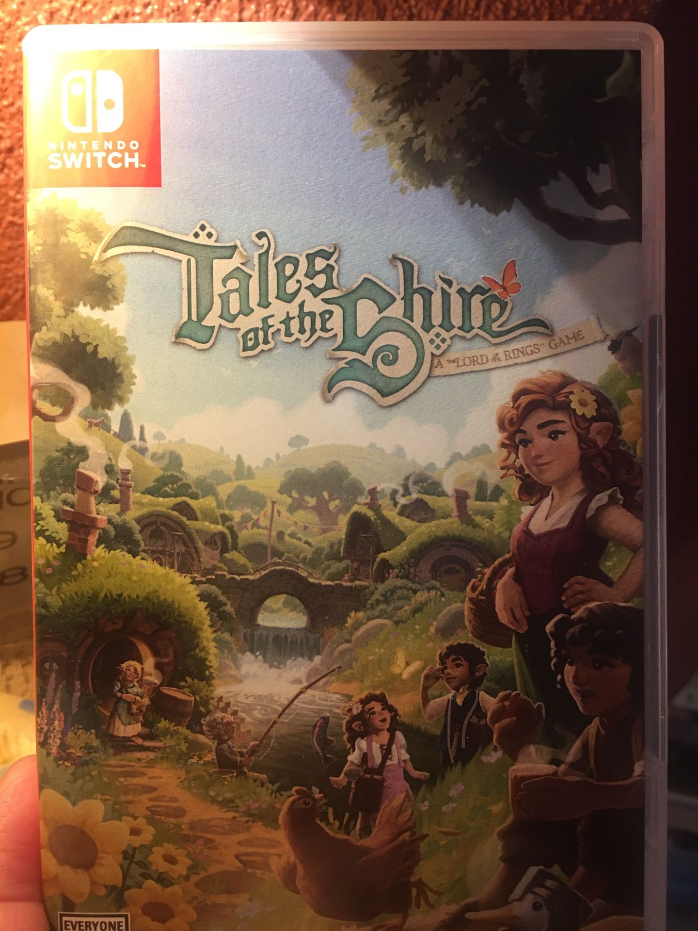 Nintendo Game