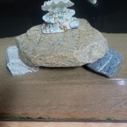 Fish Tank Decor 