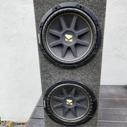 CAR SUBWOOFER WITH ALPINE AMPLIFIER AND RAPTOR