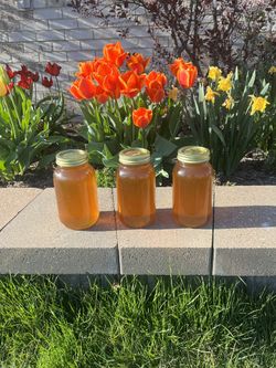 Real Honey Homemade Wildflower Honey From Wisconsin