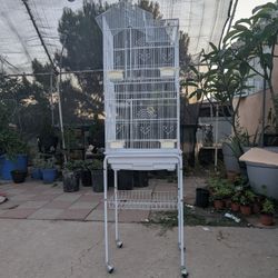 Bird Cage 