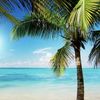 Gigi’s  🏖️Bundle & Save🏝️