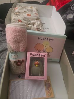 Pusheen fall Subscription Box Bundle