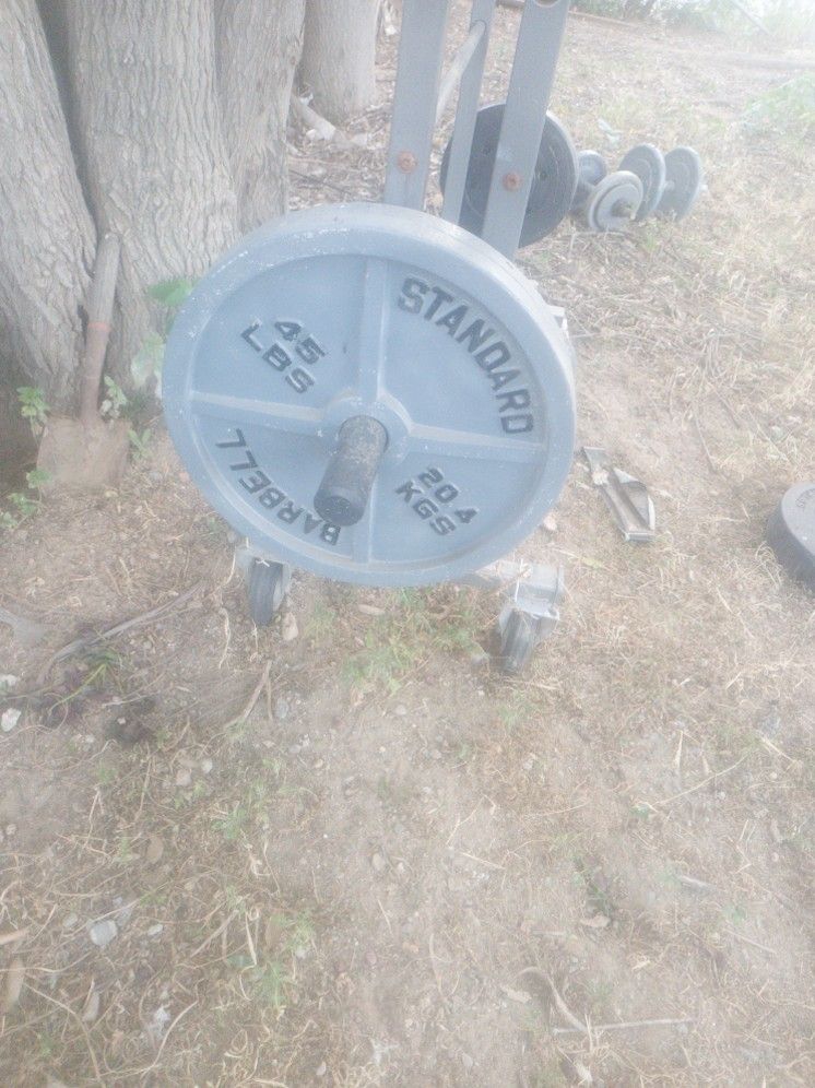 45 libs Standard Barbells