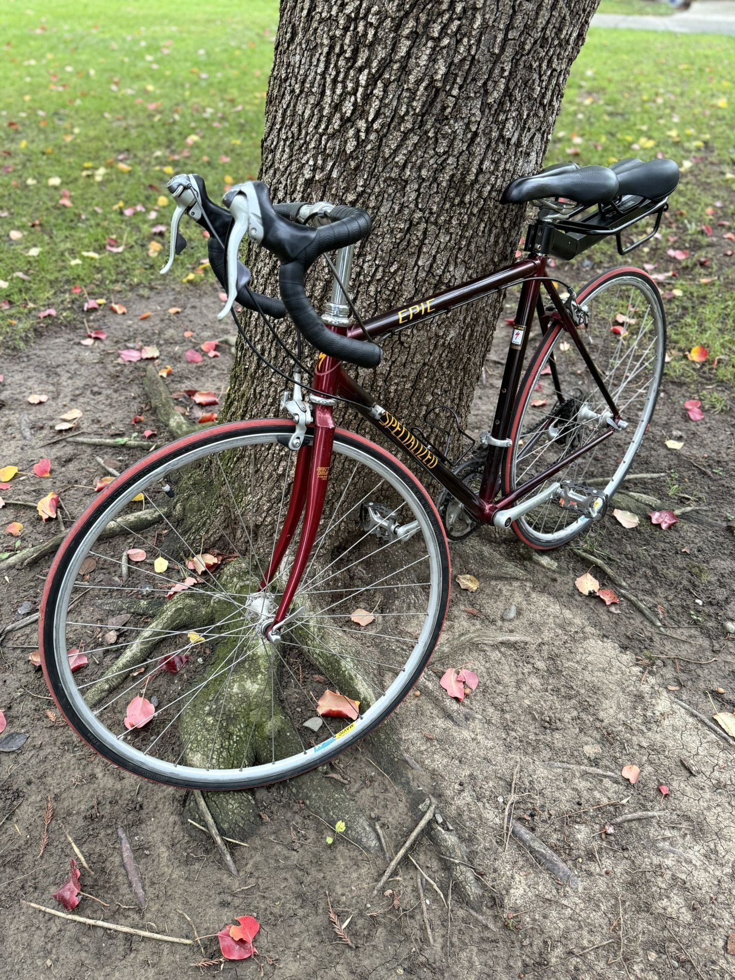 Specialized Epic Carbon Fiber Road Bike