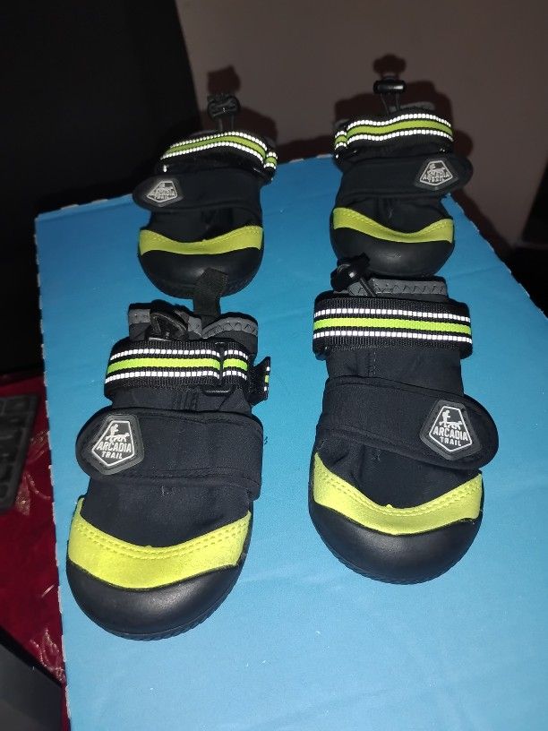 Doggie Shoes!