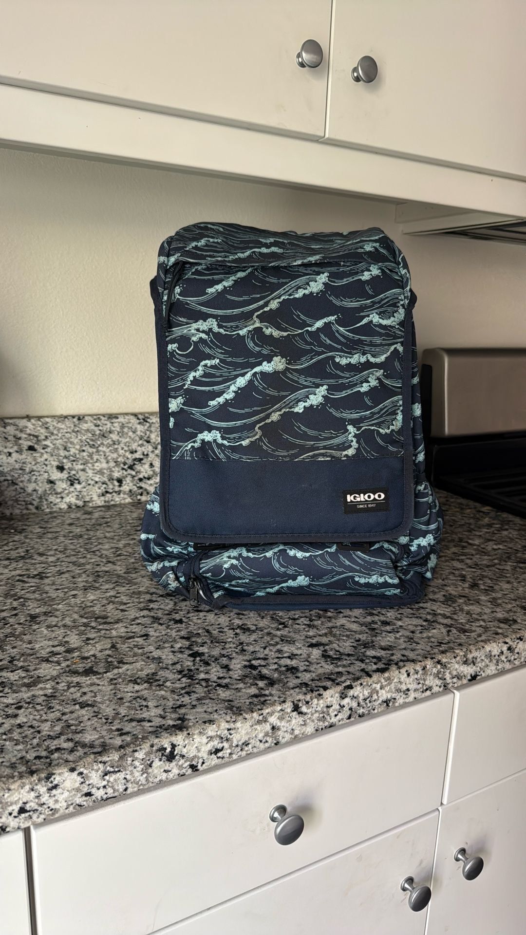 Igloo Backpack