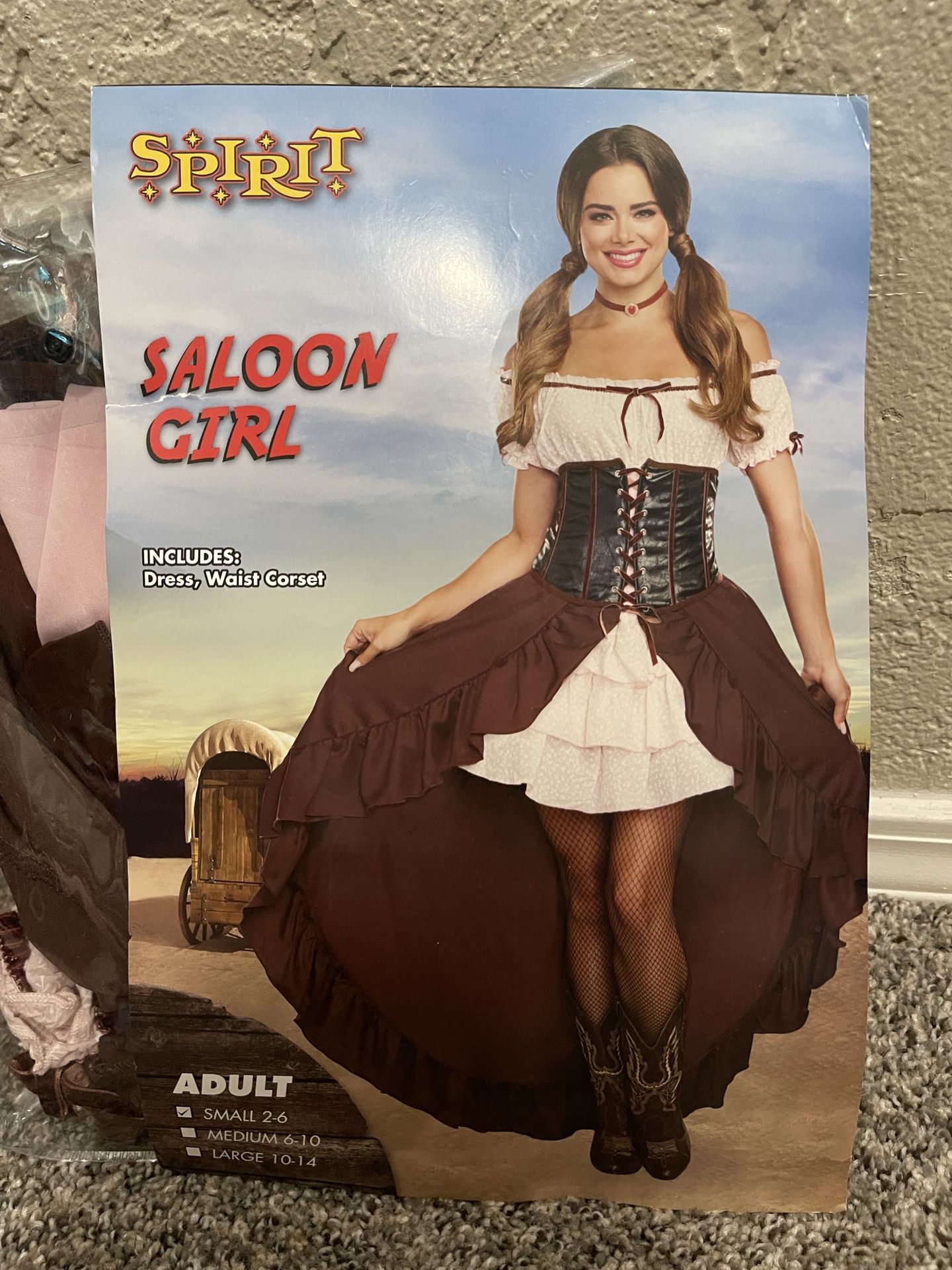 Saloon Girl Costume/Halloween