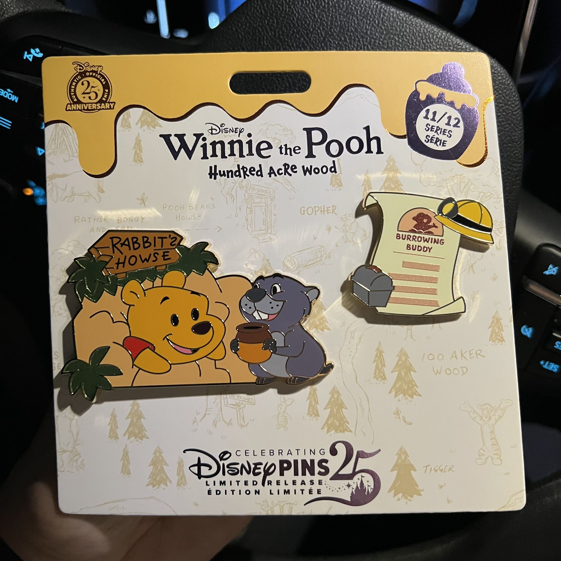 Disney Winnie The Pooh Hundred Acre Woods Gopher November 11/12 Pin