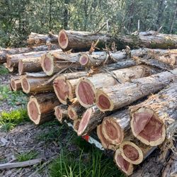 Red Cedar Post and More 