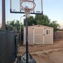 Lifetime Shaterproof 54 Inch Basketball Court