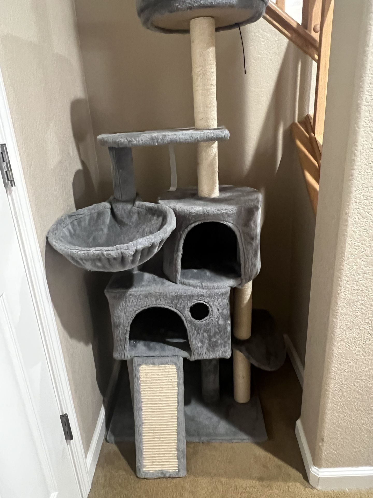 Cat House