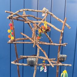 Artsy N Rustic Parrot Perch Tree.,,  AAA+‘quality And Hard Durable Ribbon Wood 🪵 Lasts For Years !! A Great Socializer!! 