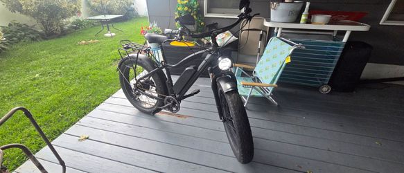 Rad Power Fat Tire Bike