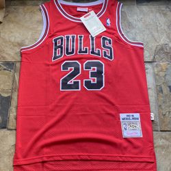 Michael Jordan Bulls Jersey Sz Large