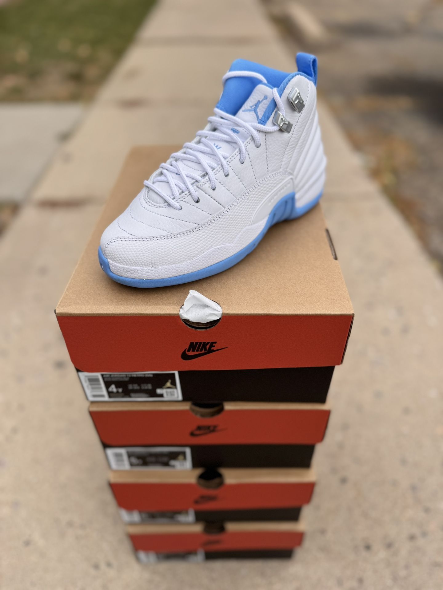 Jordan 12 “Melo”