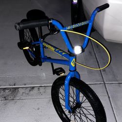 Young boys BMX bike 